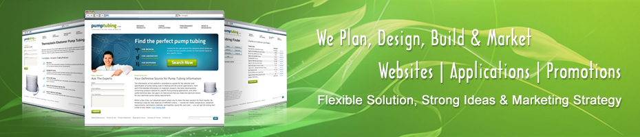 Web Application Development Design Hosting Search Engine Optimization (SEO) Solutions Company New Delhi, India